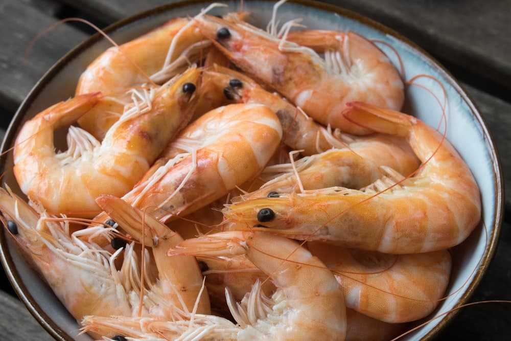 Wild Shrimp